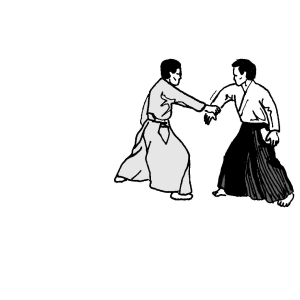 aikido